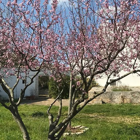 Masseria Capo Rosso Apartament *