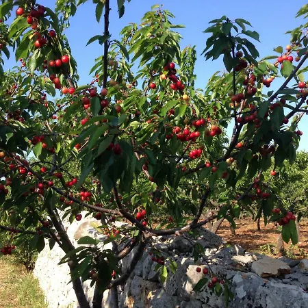 Masseria Capo Rosso